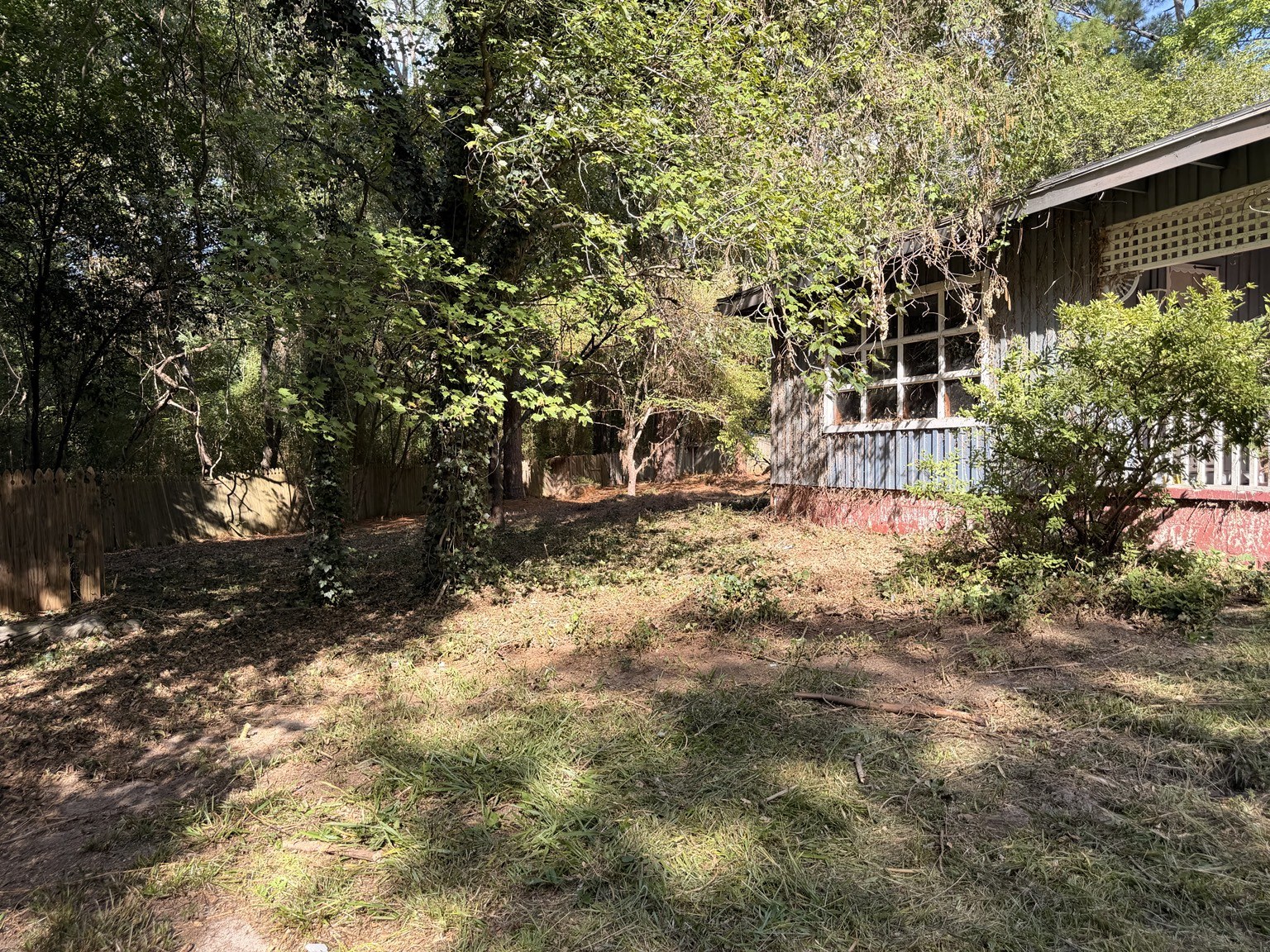 Yard after brush clearing