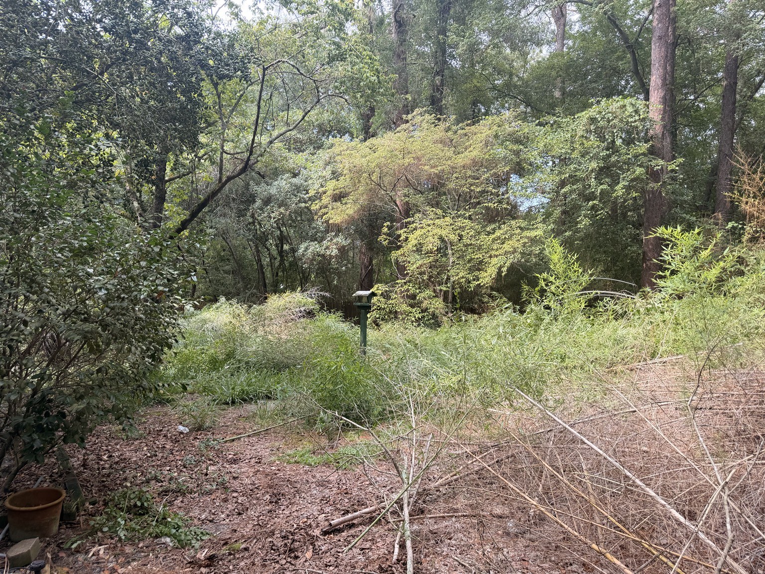 Before property cleanup